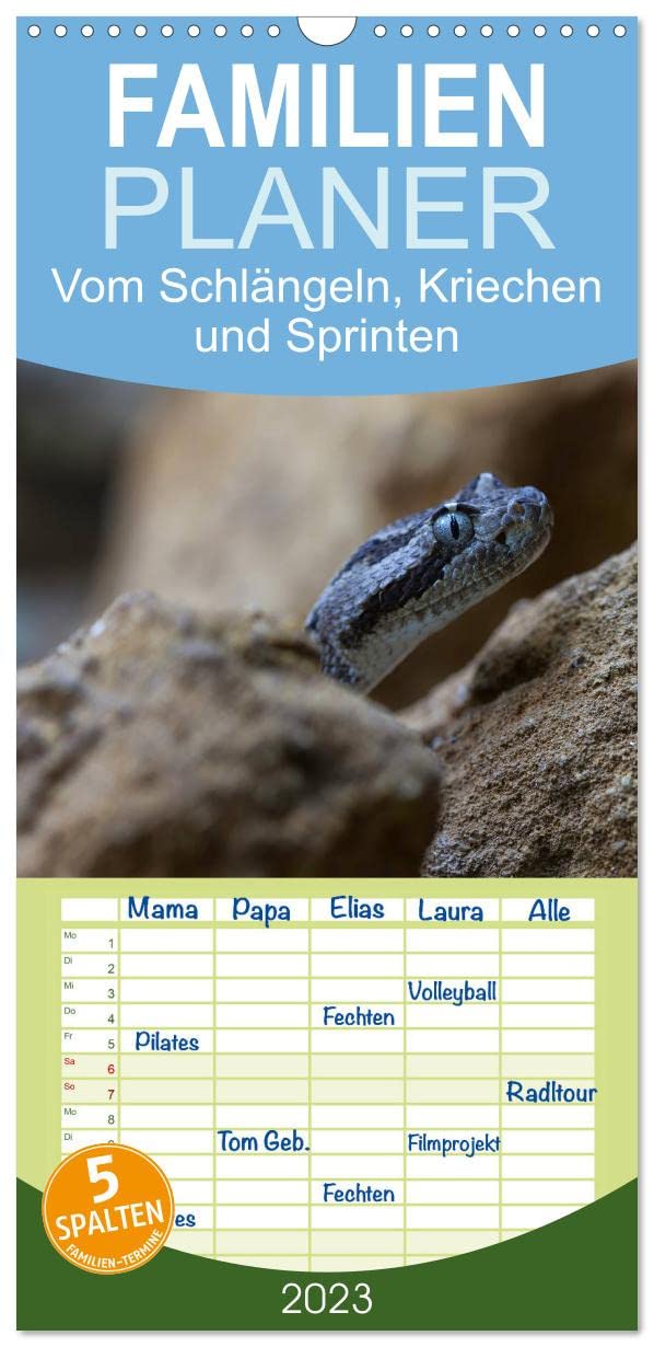 Familienplaner Vom Schlängeln, Kriechen und Sprinten (Wandkalender 2023 , 21 cm x 45 cm, hoch): Schlangen, Echsen, Frösche - Klein, schön und ... (Monatskalender, 14 Seiten ) (CALVENDO Tiere) Natural Sciences