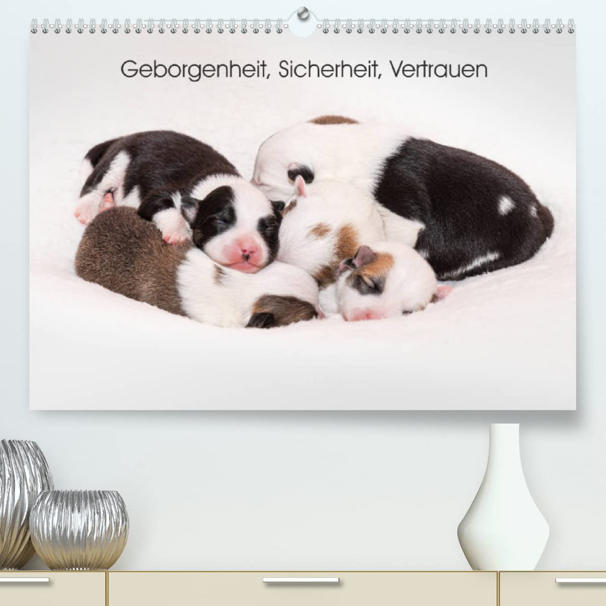 Geborgenheit, Sicherheit, Vertrauen (Premium, hochwertiger DIN A2 Wandkalender 2023, Kunstdruck in Hochglanz): Die ersten Wochen im Leben kleiner ... 14 Seiten ) (CALVENDO Tiere) Leisure, Home & Garden