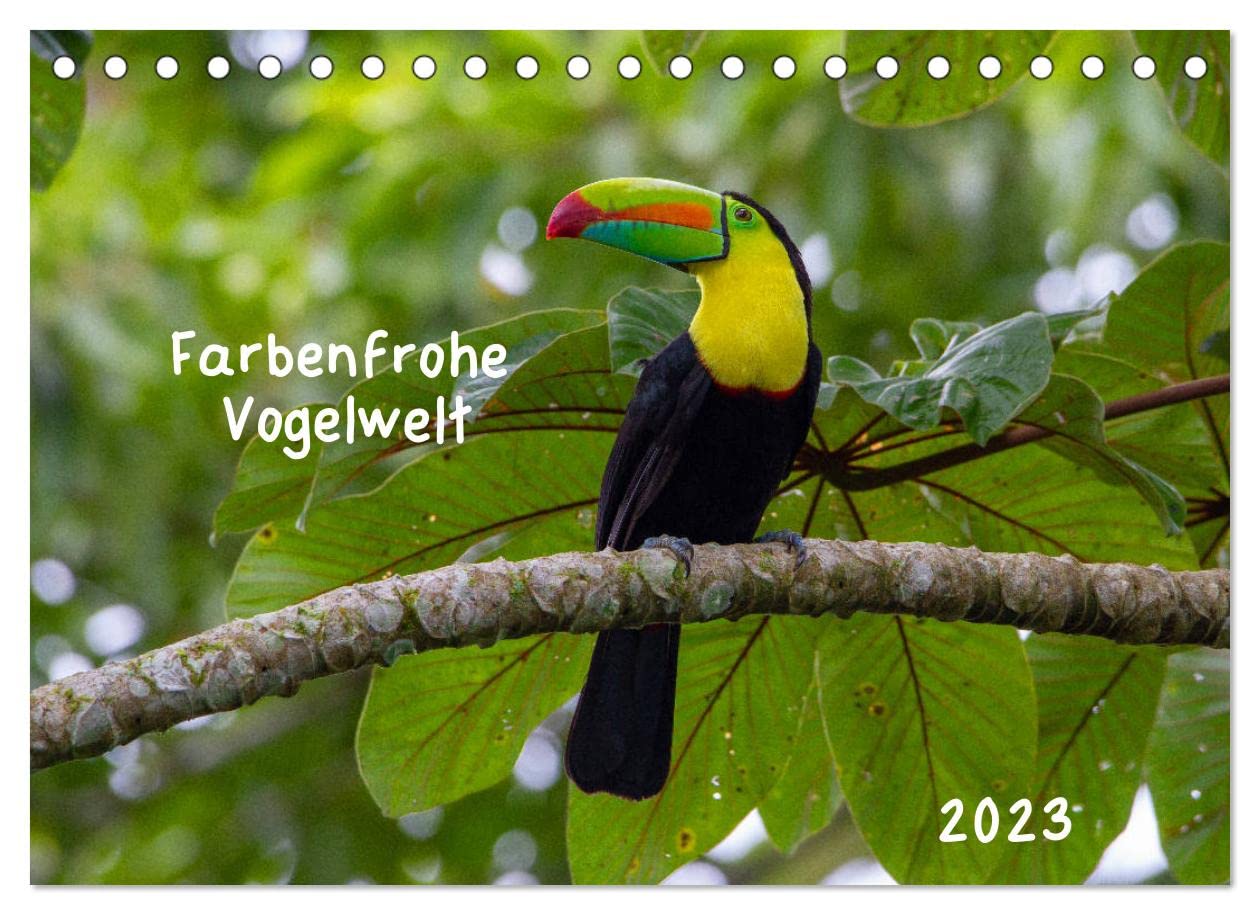 Farbenfrohe Vogelwelt (Tischkalender 2023 DIN A5 quer): Wunderschöne Vögel aus dem Farbkasten der Natur (Monatskalender, 14 Seiten ) (CALVENDO Tiere) Film, Art & Culture