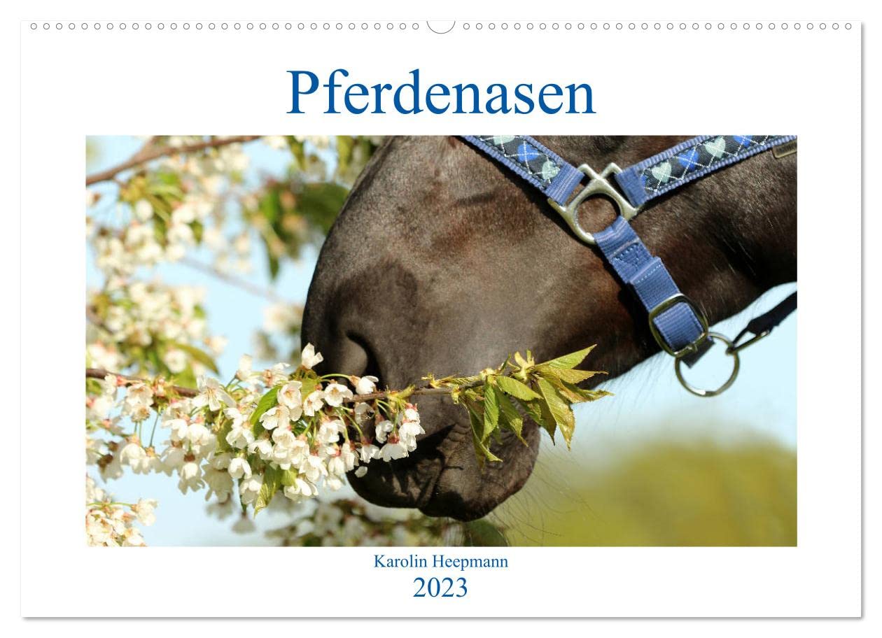 Pferdenasen (Wandkalender 2023 DIN A2 quer): Verschiedenste weiche Nüstern im Detail (Monatskalender, 14 Seiten ) book