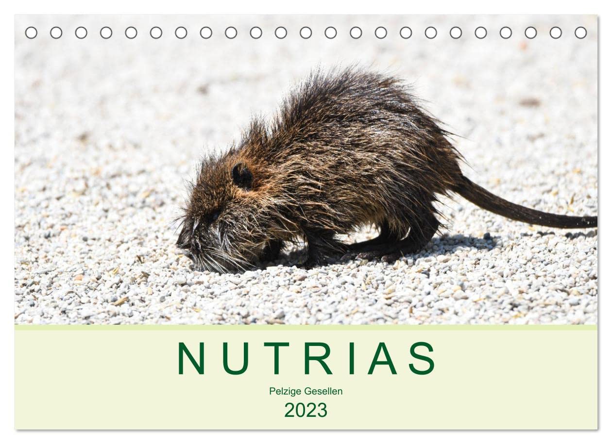 NUTRIAS - Pelzige Gesellen (Tischkalender 2023 DIN A5 quer): Faszinierende Bilder des auch Biberratte oder Sumpfbiber genannten Nutrias (Monatskalender, 14 Seiten ) (CALVENDO Tiere) Lifestyle