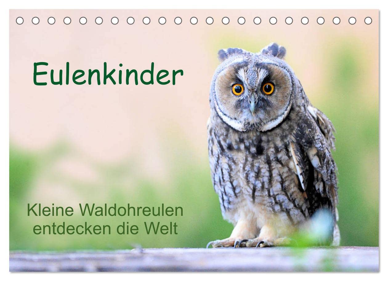 Eulenkinder - Kleine Waldohreulen entdecken die Welt (Tischkalender 2023 DIN A5 quer): Süße Waldohreulenkinder begleiten Sie durch das Jahr (Monatskalender, 14 Seiten ) (CALVENDO Tiere) Leisure, Home & Garden