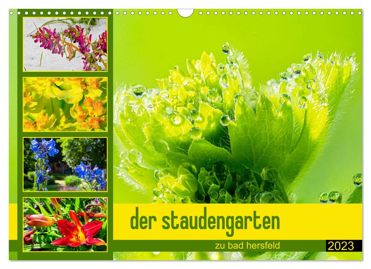der staudengarten zu bad hersfeld (Wandkalender 2023 DIN A3 quer): Der Fotokünstler Steffen Sennewald hat das üppige Pflanzenkleid im kleinen Garten ... (Monatskalender, 14 Seiten ) (CALVENDO Natur) Leisure, Home & Garden