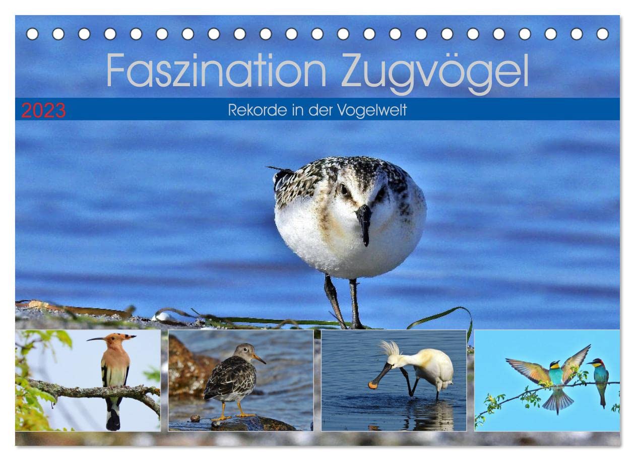 Faszination Zugvögel - Rekorde in der Vogelwelt (Tischkalender 2023 DIN A5 quer): Erstaunliche Leistungen der Zugvögel. (Monatskalender, 14 Seiten ) (CALVENDO Tiere) Garden & Plants