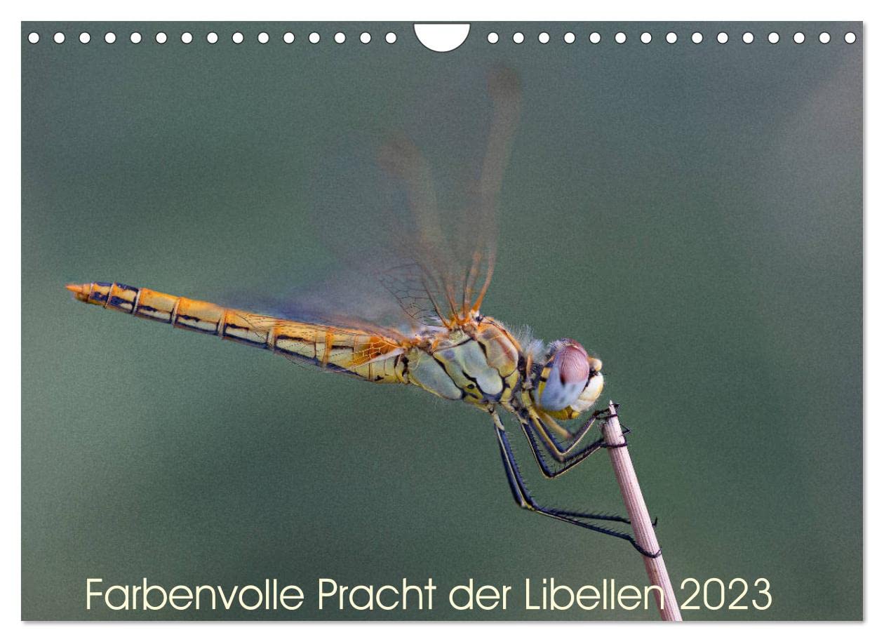 Farbenvolle Pracht der Libellen (Wandkalender 2023 DIN A4 quer): Die wunderschöne Welt der Libellen. (Monatskalender, 14 Seiten ) (CALVENDO Tiere) Natural Sciences