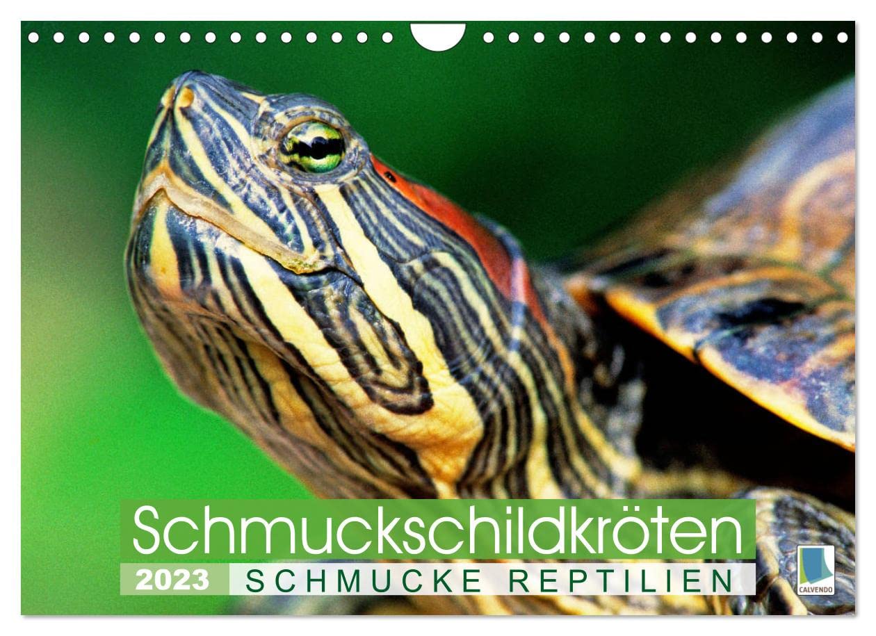 Schmuckschildkröten: Schmucke Reptilien (Wandkalender 2023 DIN A4 quer): Edelsteine der Terrarien: Schmuck-Schildkröten (Monatskalender, 14 Seiten ) (CALVENDO Tiere) Leisure, Home & Garden