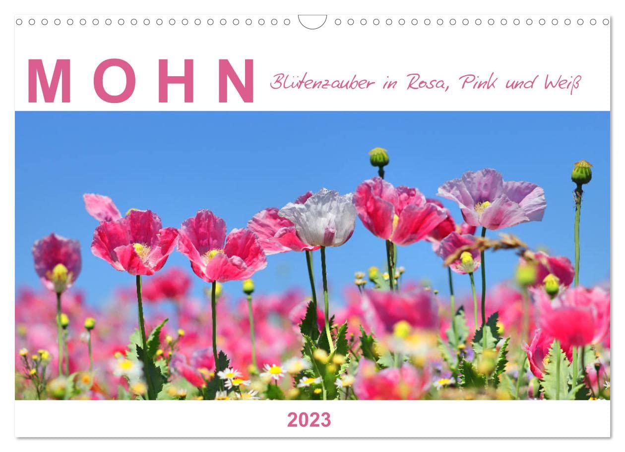 Mohn, Blütenzauber in Rosa, Pink und Weiß (Wandkalender 2023 DIN A3 quer): Ein Streifzug durch Schlafmohnfelder (Monatskalender, 14 Seiten ) (CALVENDO Natur) Lifestyle