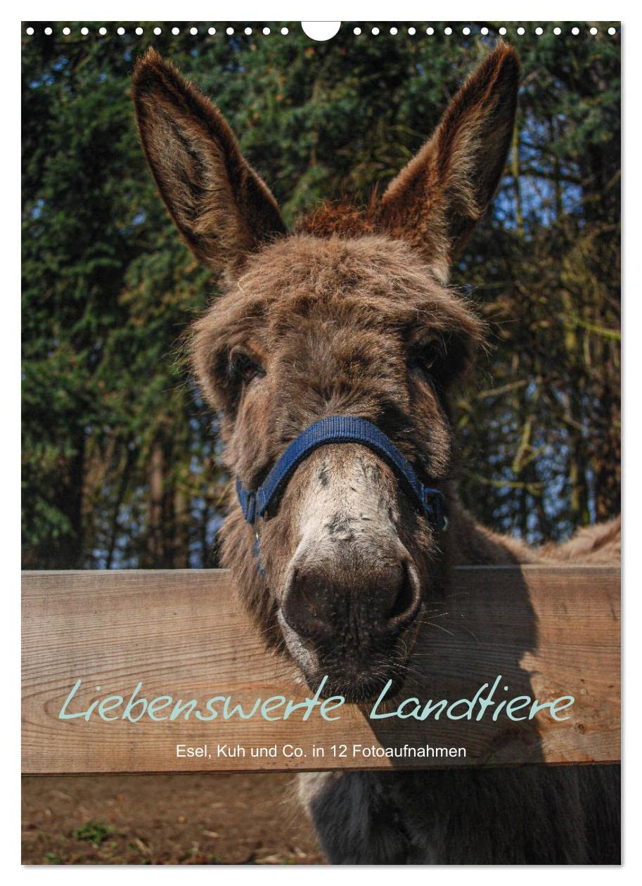 Liebenswerte Landtiere (Wandkalender 2023 DIN A3 hoch): Esel, Kuh & Co. in 12 Fotoaufnahmen (Planer, 14 Seiten ) (CALVENDO Tiere) Living & Furnishing