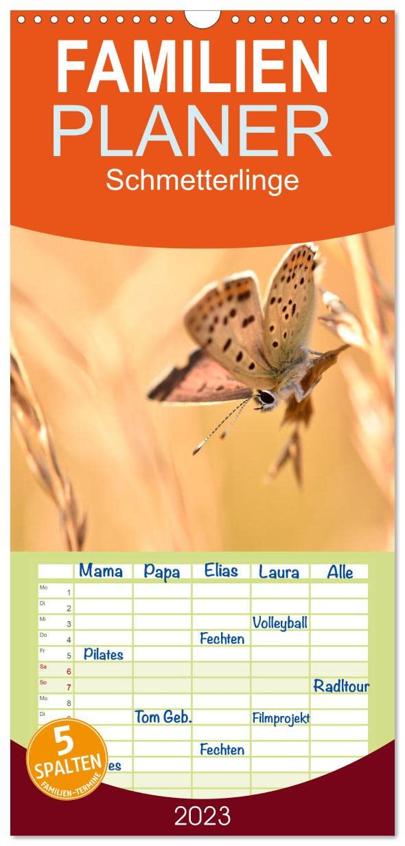 Familienplaner Schmetterlinge. Schimmernde Zauberwesen (Wandkalender 2023 , 21 cm x 45 cm, hoch): Dem Alltag entfliehen und in eine friedliche Welt ... (Monatskalender, 14 Seiten ) (CALVENDO Natur) Leisure, Home & Garden