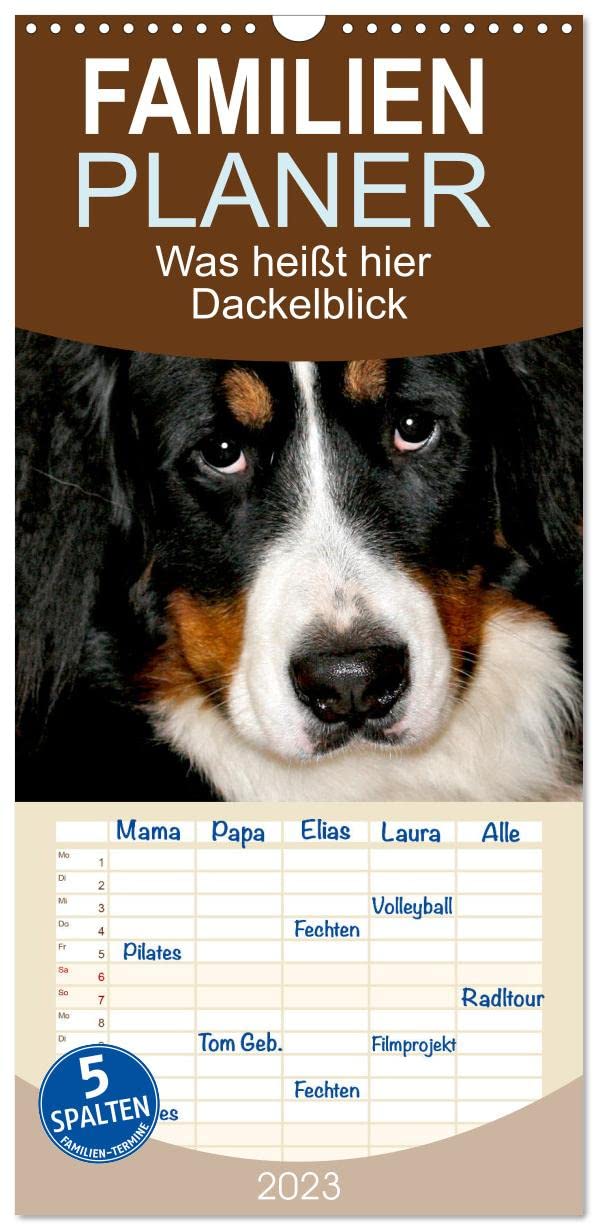 Familienplaner Was heißt hier Dackelblick (Wandkalender 2023 , 21 cm x 45 cm, hoch): Die Blicke unserer treuen Begleiter sind einzigartig. (Monatskalender, 14 Seiten ) (CALVENDO Tiere) Leisure, Home & Garden