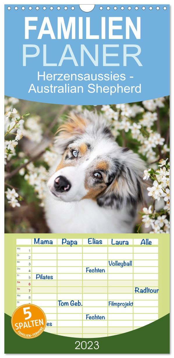 Familienplaner Herzensaussies - Australian Shepherd (Wandkalender 2023 , 21 cm x 45 cm, hoch): Aussies- fotografiert von Madlen Kudla (Monatskalender, 14 Seiten ) (CALVENDO Tiere) Film, Art & Culture