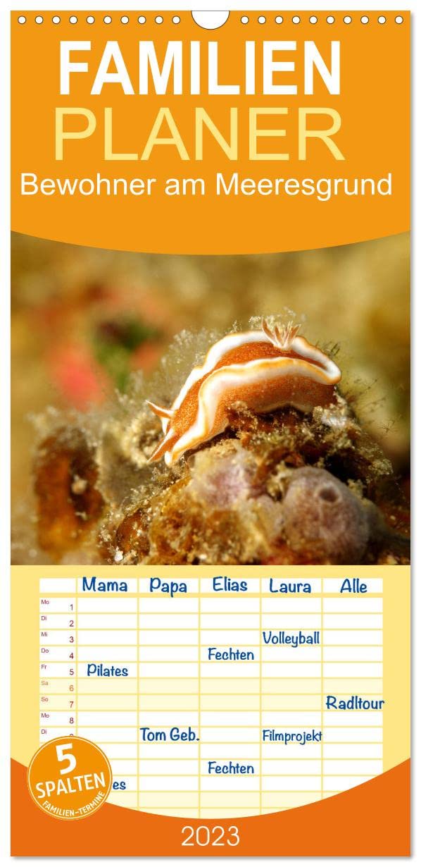 Familienplaner Bewohner am Meeresgrund (Wandkalender 2023 , 21 cm x 45 cm, hoch): In tropischen Meeren tummeln sich viele unterschiedliche Lebewesen. (Monatskalender, 14 Seiten ) (CALVENDO Tiere) Leisure, Home & Garden