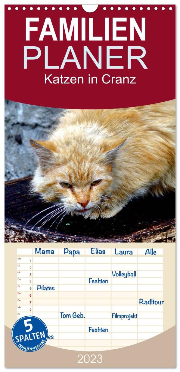 Familienplaner 2025 - Katzen in Cranz (Wandkalender 2023 , 21 cm x 45 cm, hoch) mit 5 Spalten (Wandkalender, 21 x 45 cm) CALVENDO: Katzen ... (Monatskalender, 14 Seiten ) (CALVENDO Tiere) Natural Sciences