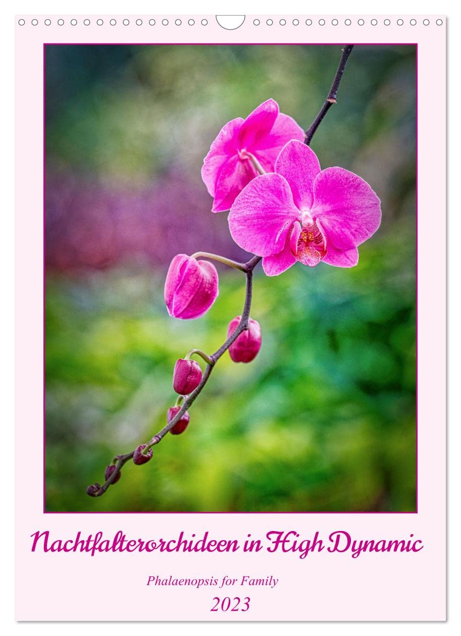 Nachtfalterorchideen in High Dynamic (Wandkalender 2023 DIN A3 hoch): Phalaenopsisblüten fotografiert in HD (Planer, 14 Seiten ) (CALVENDO Natur) Leisure, Home & Garden