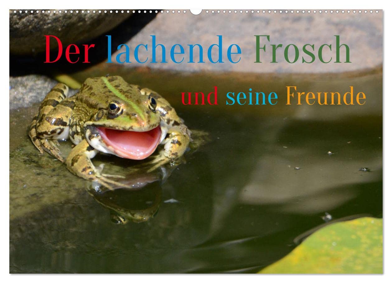 Der lachende Frosch und seine Freunde (Wandkalender 2023 DIN A2 quer): Da musste ich auch lachen und hab fast die Kamera fallen lassen. (Monatskalender, 14 Seiten ) (CALVENDO Tiere) Film, Art & Culture