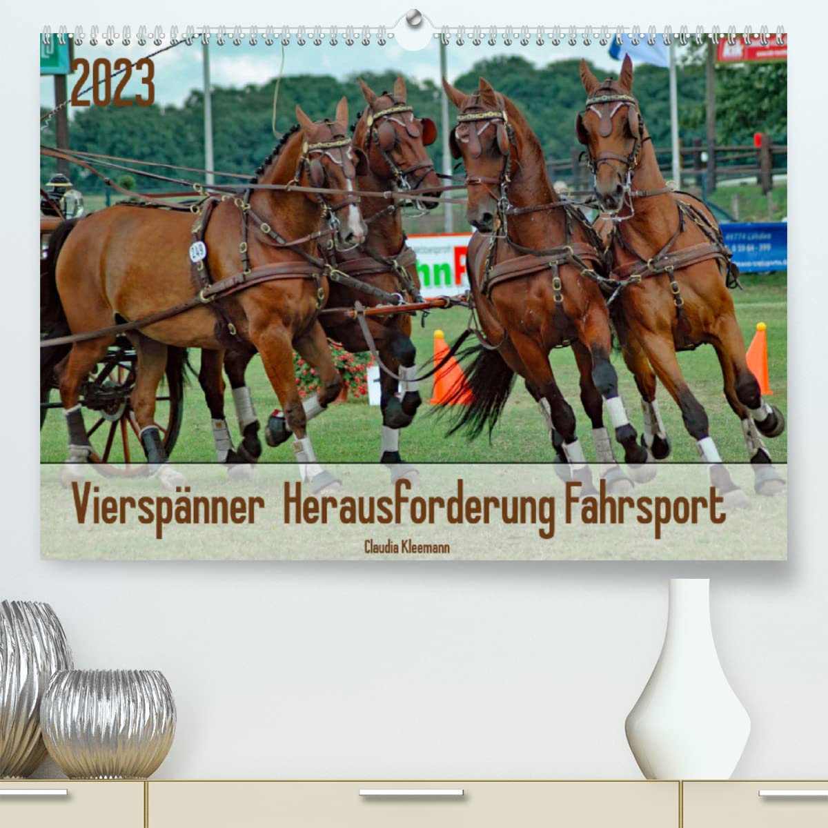 Vierspänner Herausforderung Fahrsport (Premium, hochwertiger DIN A2 Wandkalender 2023, Kunstdruck in Hochglanz): Spektakuläre Galoppaden durch den ... (Monatskalender, 14 Seiten ) (CALVENDO Sport) Natural Sciences