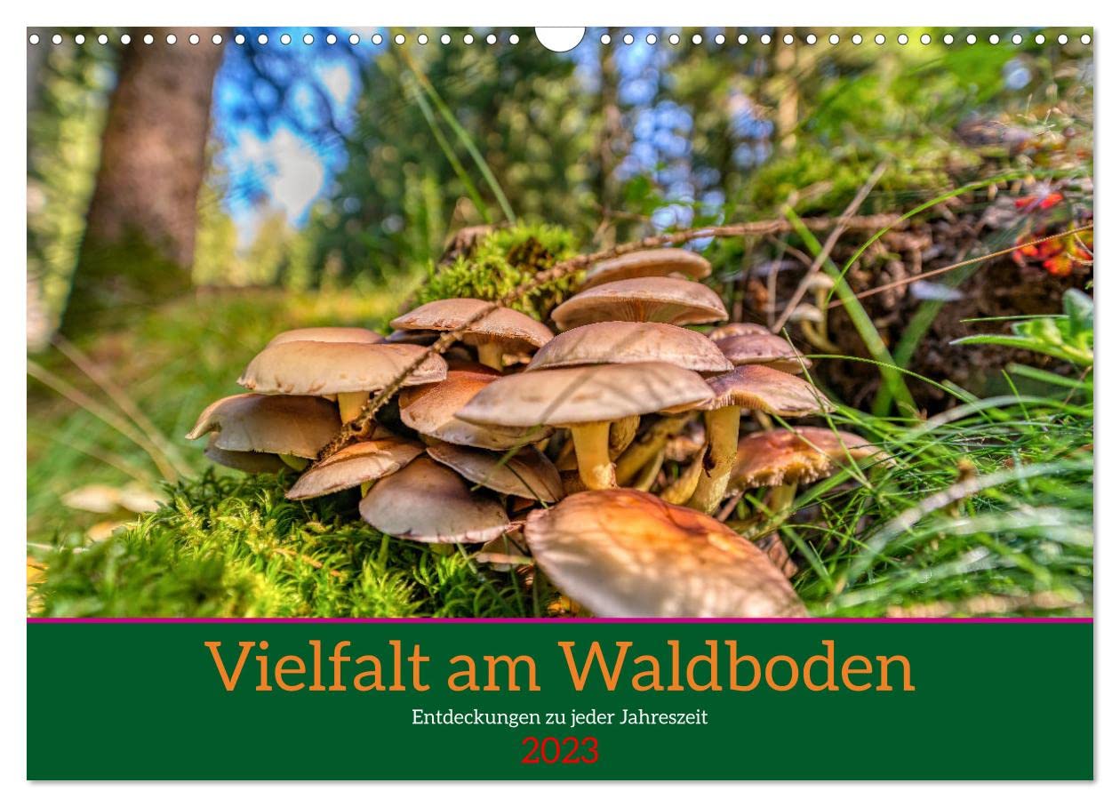Vielfalt am Waldboden (Wandkalender 2023 DIN A3 quer): Heimische Pilze aus dem Thüringer Wald (Monatskalender, 14 Seiten ) (CALVENDO Natur) Lifestyle
