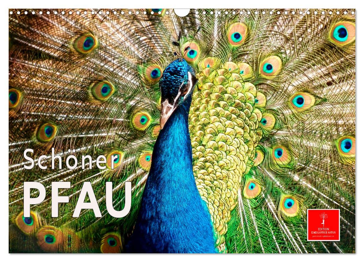 Schöner Pfau (Wandkalender 2023 DIN A3 quer): Der Pfau – einer der ältesten Ziervögel der Menschen. (Monatskalender, 14 Seiten ) (CALVENDO Tiere) Living & Furnishing