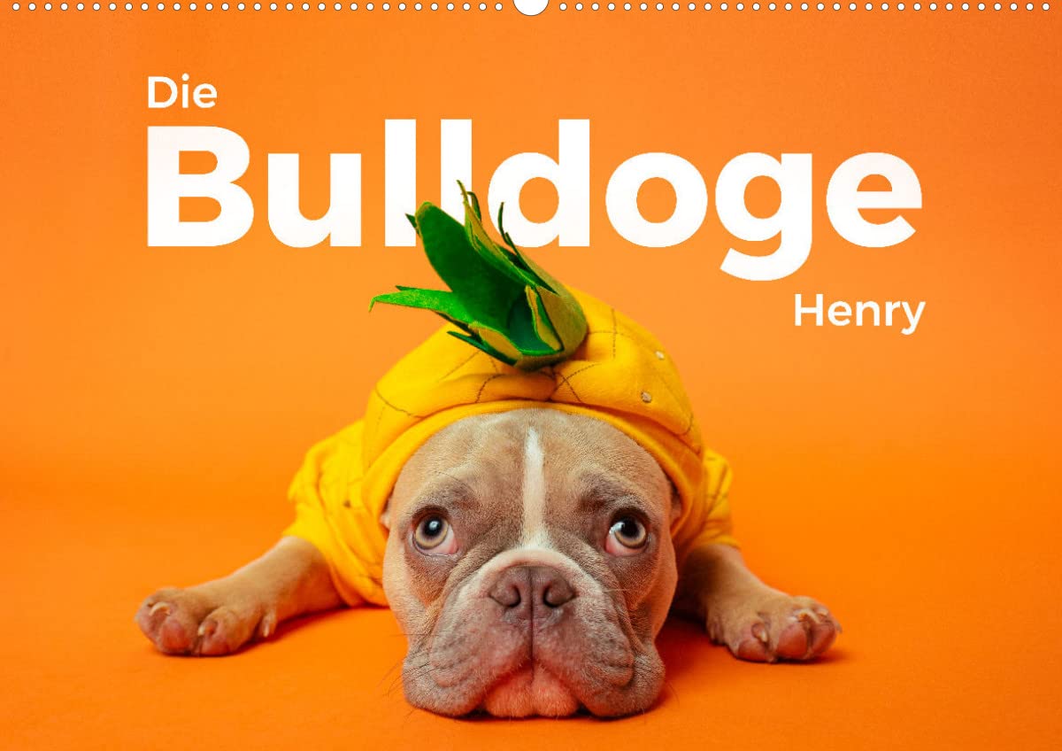 Die Bulldoge Henry (Wandkalender 2024 DIN A2 quer): Hol Dir die niedlchen Bilder von Henry nach Hause. (Monatskalender, 14 Seiten ) (CALVENDO Tiere) Natural Sciences