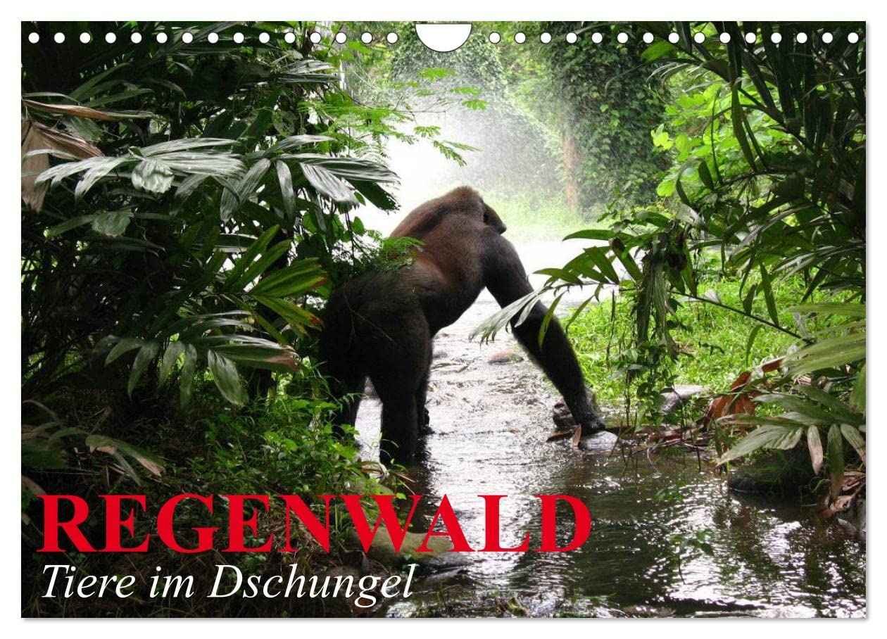 Regenwald • Tiere im Dschungel (Wandkalender 2024 DIN A4 quer), CALVENDO Monatskalender: Die wunderbare Artenvielfalt im Regenwald (CALVENDO Orte) Film, Art & Culture