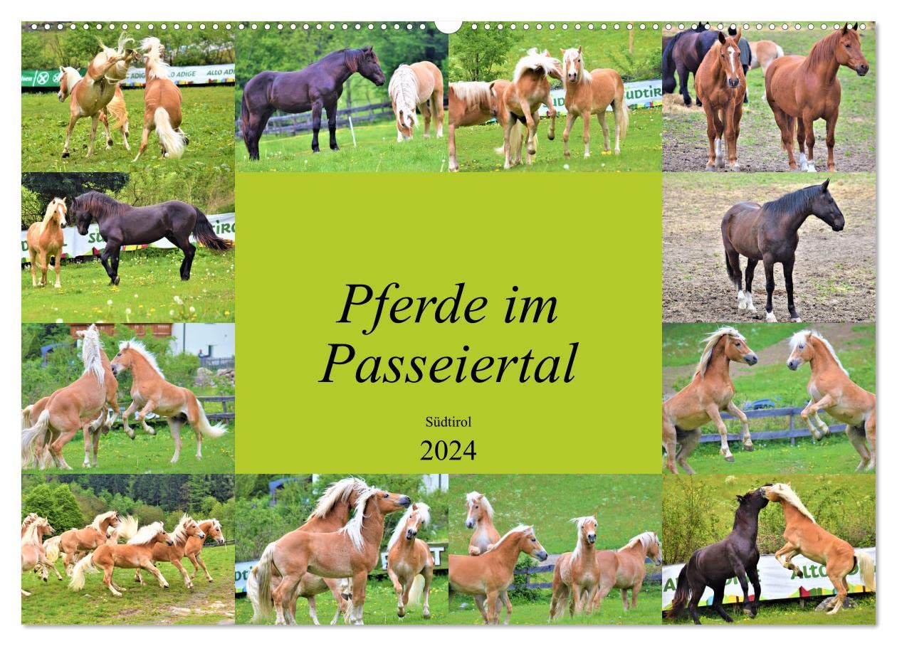 Pferde im Passeiertal (Wandkalender 2024 DIN A2 quer), CALVENDO Monatskalender: Temperamentvoll, sowie voller Lebensenergie über saftig grüne Frühlingswiesen galoppieren (CALVENDO Tiere) Natural Sciences