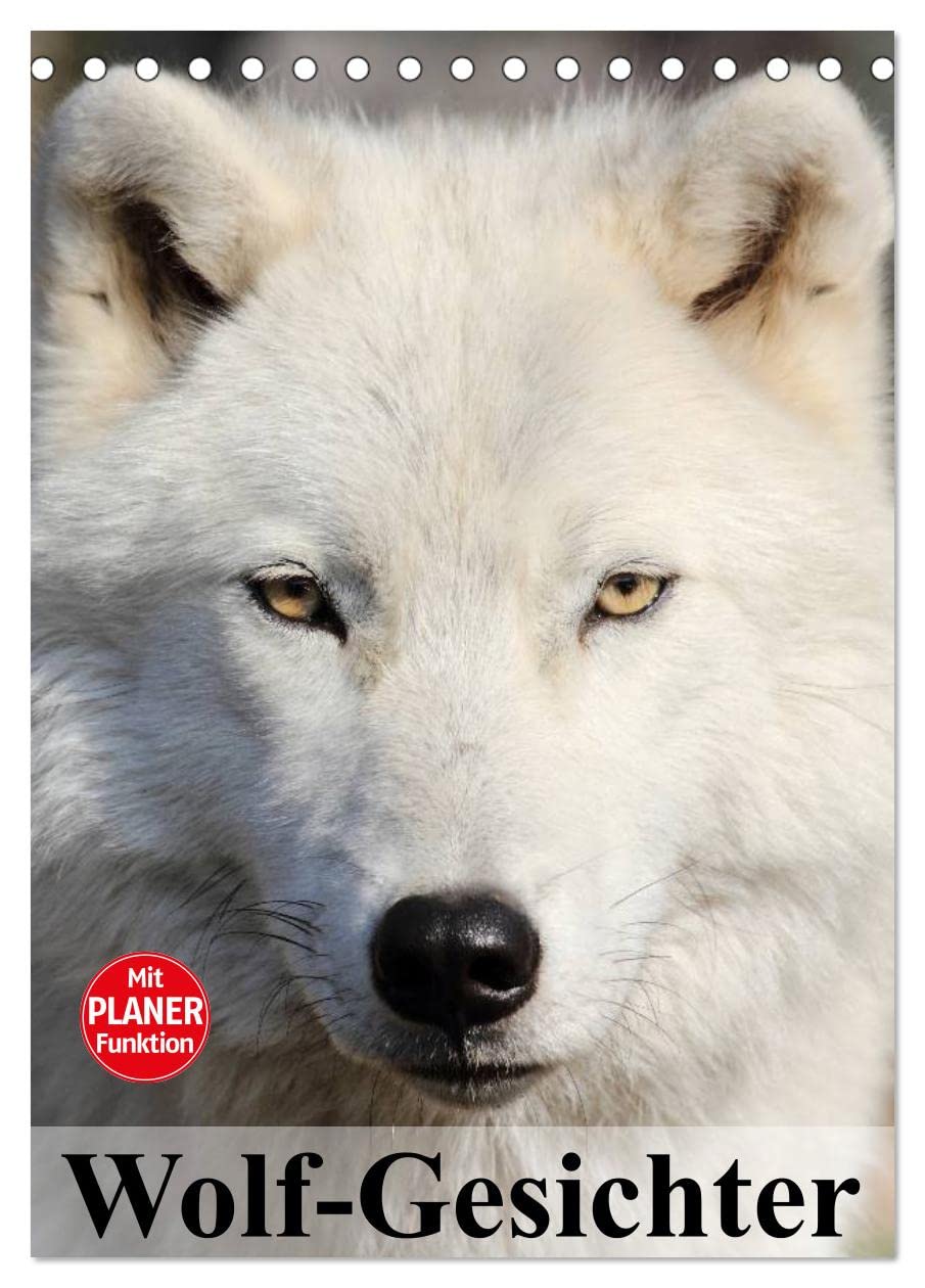 Wolf-Gesichter (Tischkalender 2024 DIN A5 hoch), CALVENDO Monatskalender: Wölfe sind zum heulen schön! (CALVENDO Tiere) Film, Art & Culture