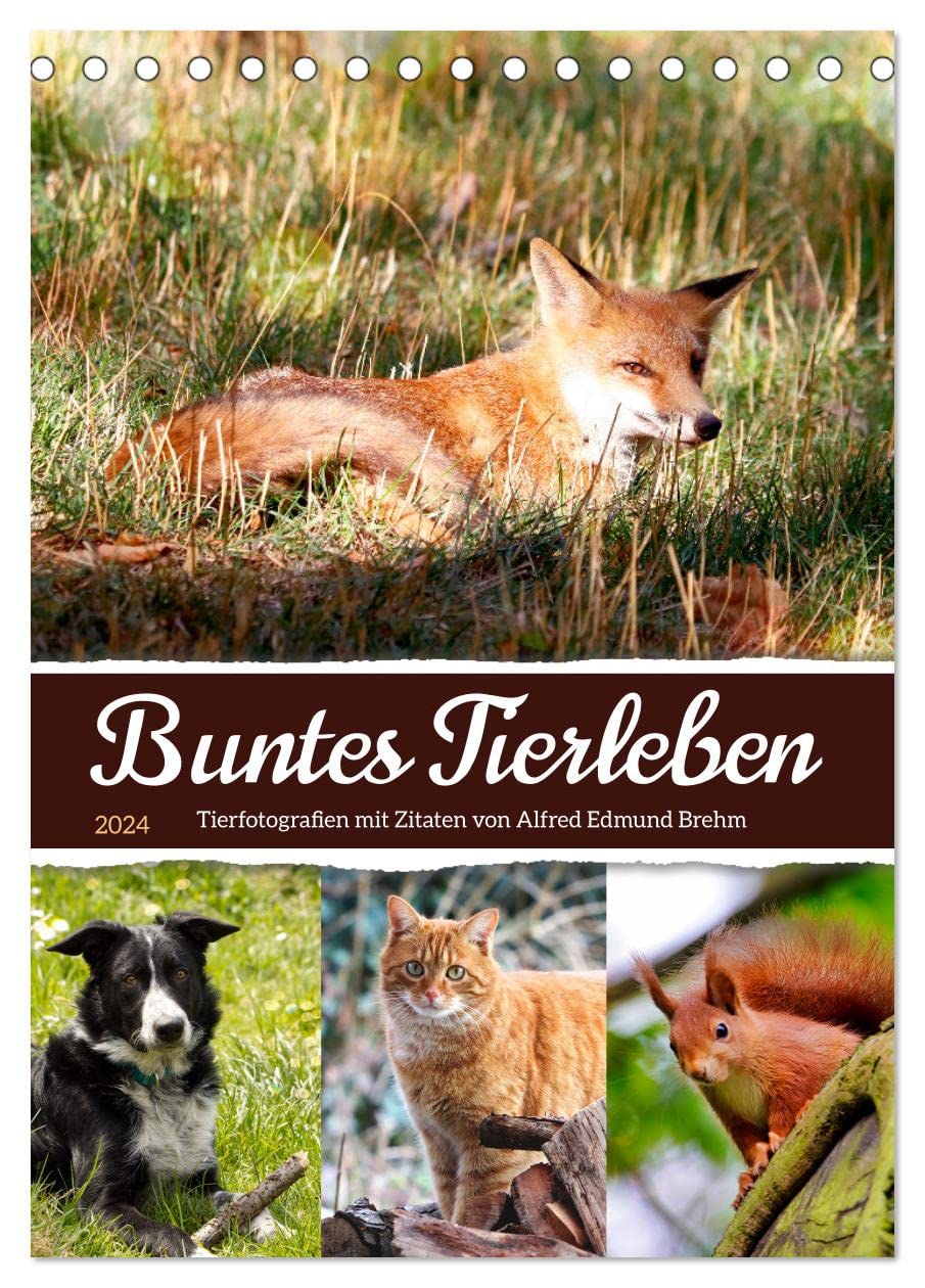 Buntes Tierleben (Tischkalender 2024 DIN A5 hoch), CALVENDO Monatskalender: Tierfotografien mit Zitaten von Alfred Brehm (CALVENDO Tiere) Social Sciences