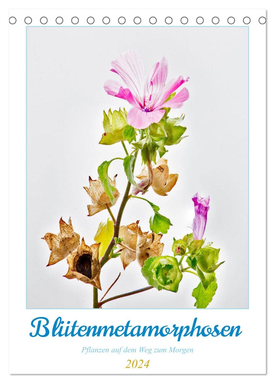 Blütenmetamorphosen (Tischkalender 2024 DIN A5 hoch), CALVENDO Monatskalender: Blüten auf dem Weg zum Morgen (CALVENDO Natur) Film, Art & Culture