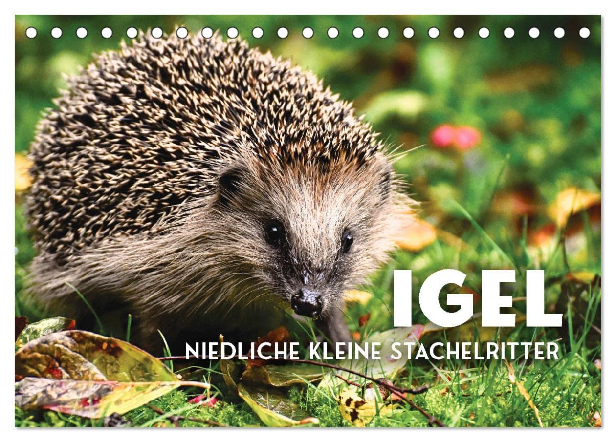 Igel - Niedliche kleine Stachelritter (Tischkalender 2024 DIN A5 quer), CALVENDO Monatskalender: Tierchen, die Herzen berühren (CALVENDO Tiere) Pets