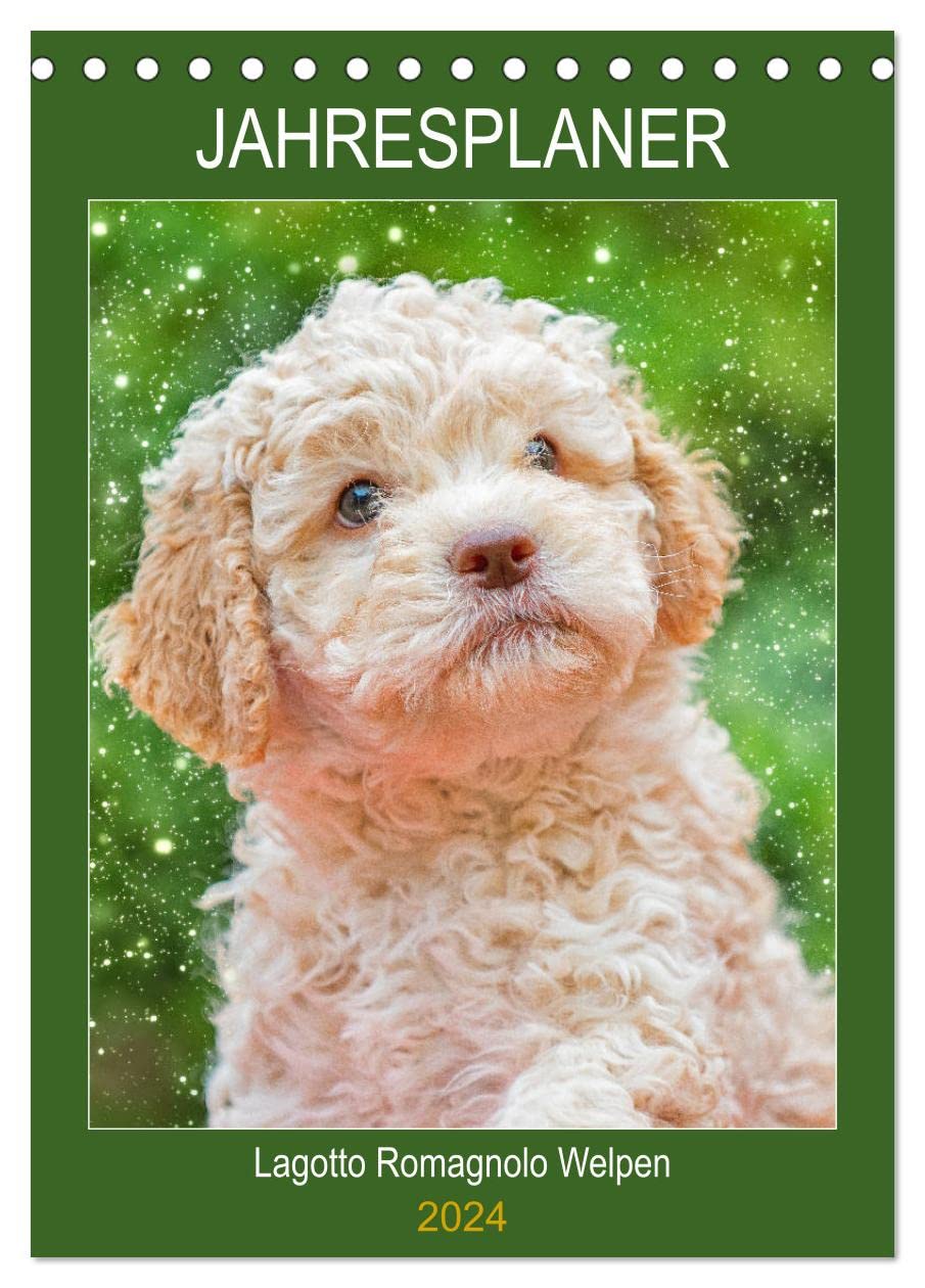 Jahresplaner Lagotto Romagnolo Welpen (Tischkalender 2024 DIN A5 hoch), CALVENDO Monatskalender: 13 entzückende Fotos von Lagotto-Welpen begleiten Liebehaber der Rasse durch das Jahr (CALVENDO Tiere) Natural Sciences