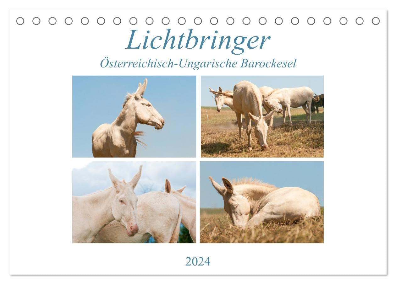 Lichtbringer - Österreichisch-Ungarische Barockesel (Tischkalender 2024 DIN A5 quer), CALVENDO Monatskalender: Wunderbare weiße Esel als Glücksboten (CALVENDO Tiere) Natural Sciences