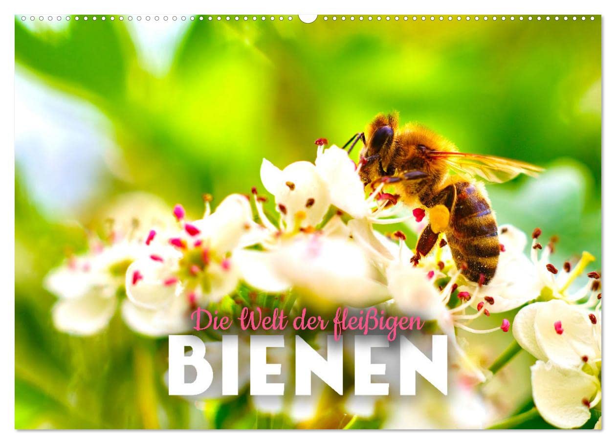 Die Welt der fleißigen Bienen (Wandkalender 2024 DIN A2 quer), CALVENDO Monatskalender: Die summenden Bestäuber. (CALVENDO Tiere) Natural Sciences