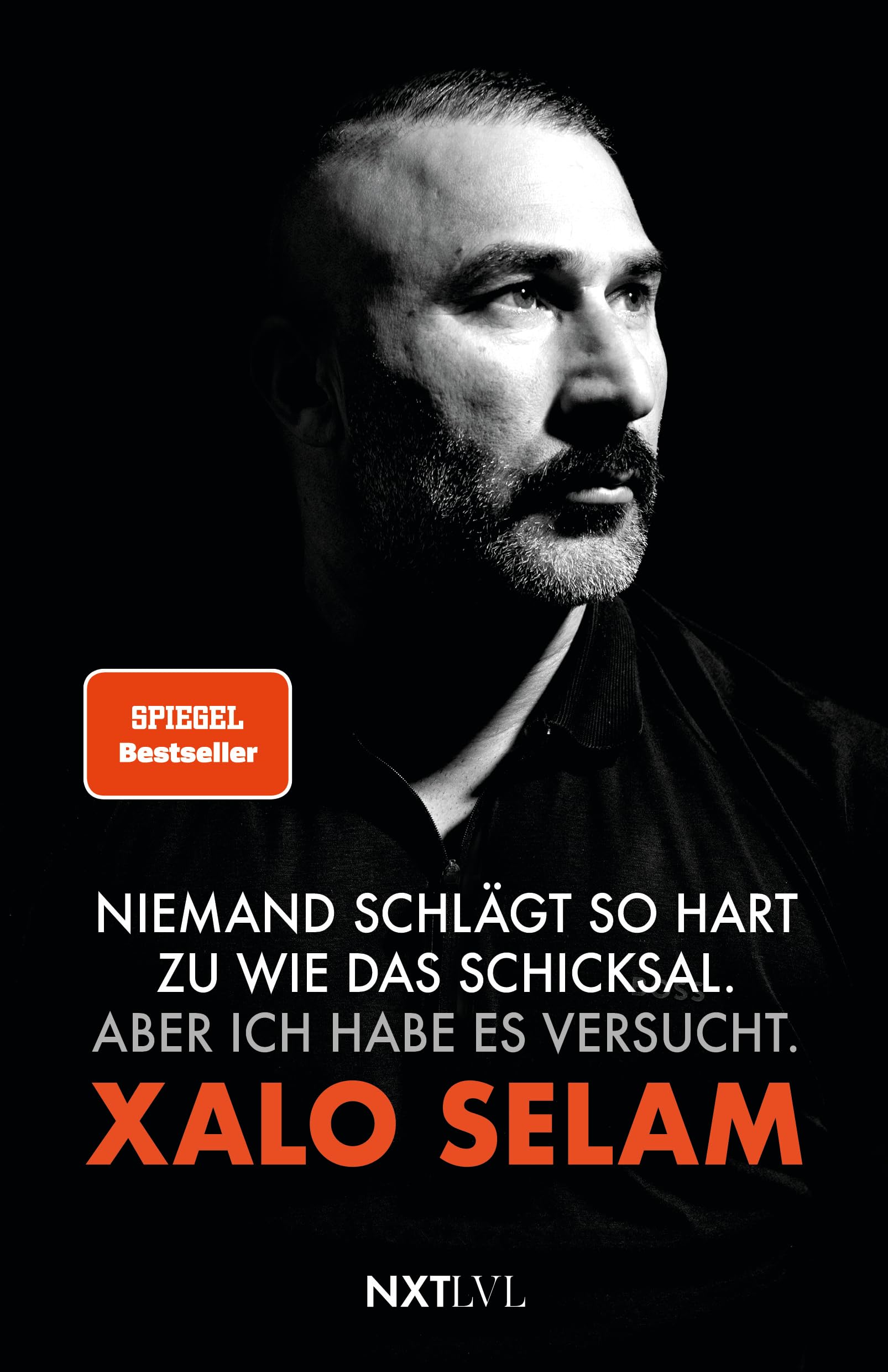 Niemand schlägt so hart zu wie das Schicksal. Aber ich habe es versucht. Art & Literature