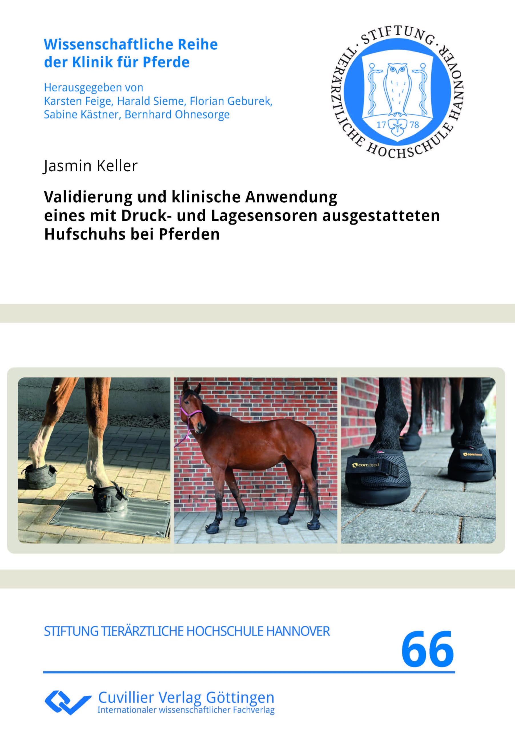 Validierung und klinische Anwendung eines mit Druck- und Lagesensoren ausgestatteten Hufschuhs bei Pferden Medicine