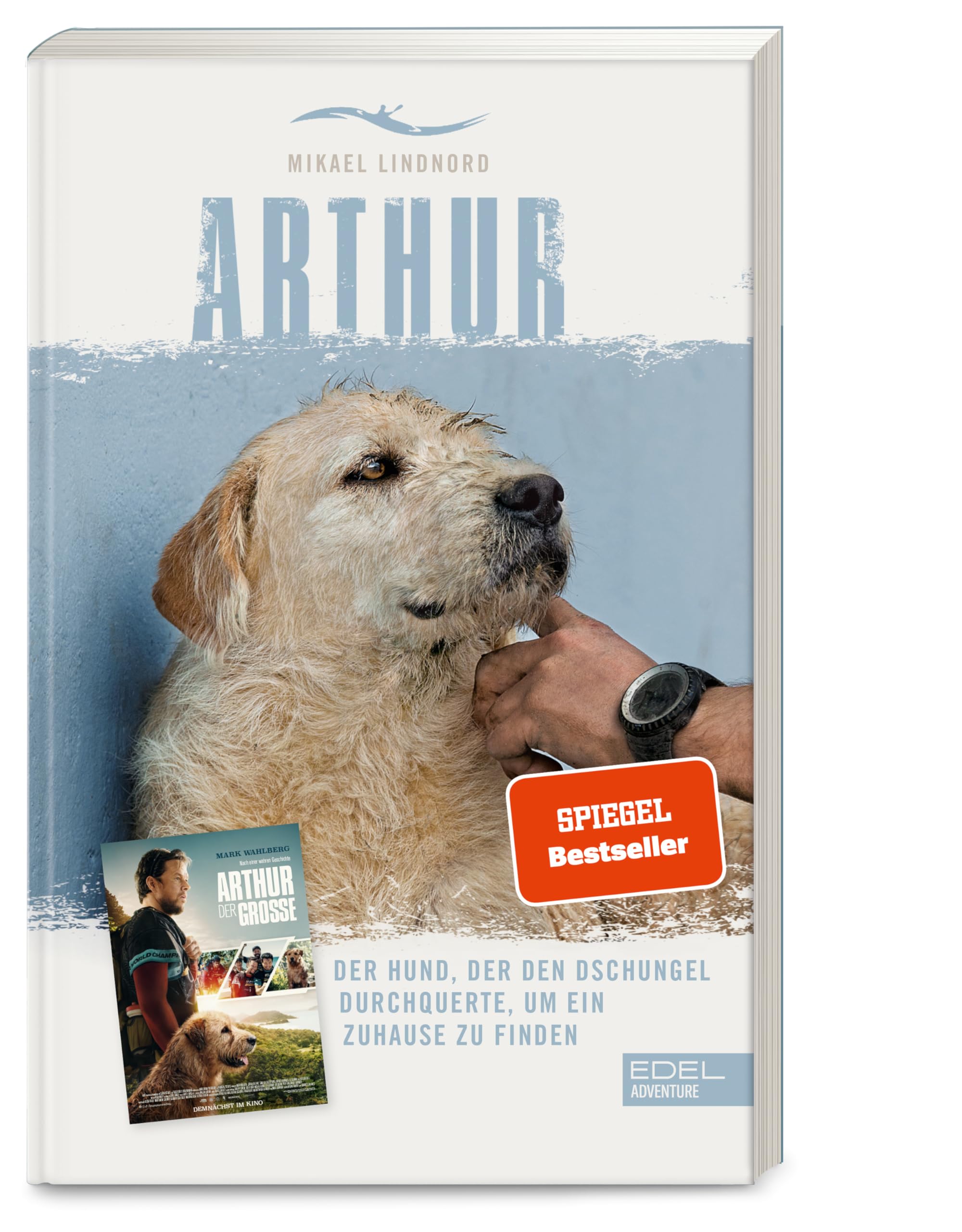 Arthur. Der Hund, der den Dschungel durchquerte, um ein Zuhause zu finden Books