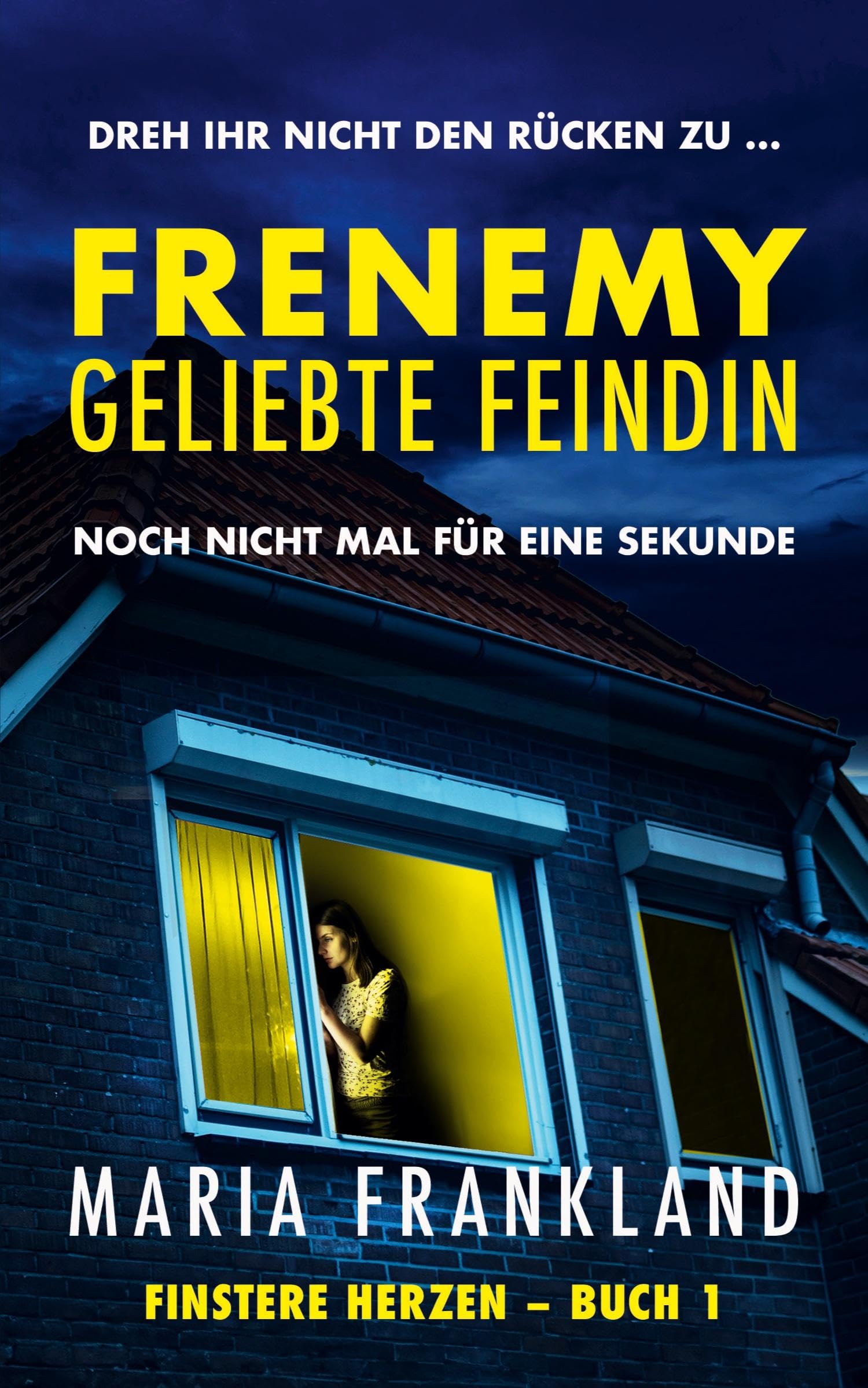 Frenemy  Geliebte Feindin Contemporary literature