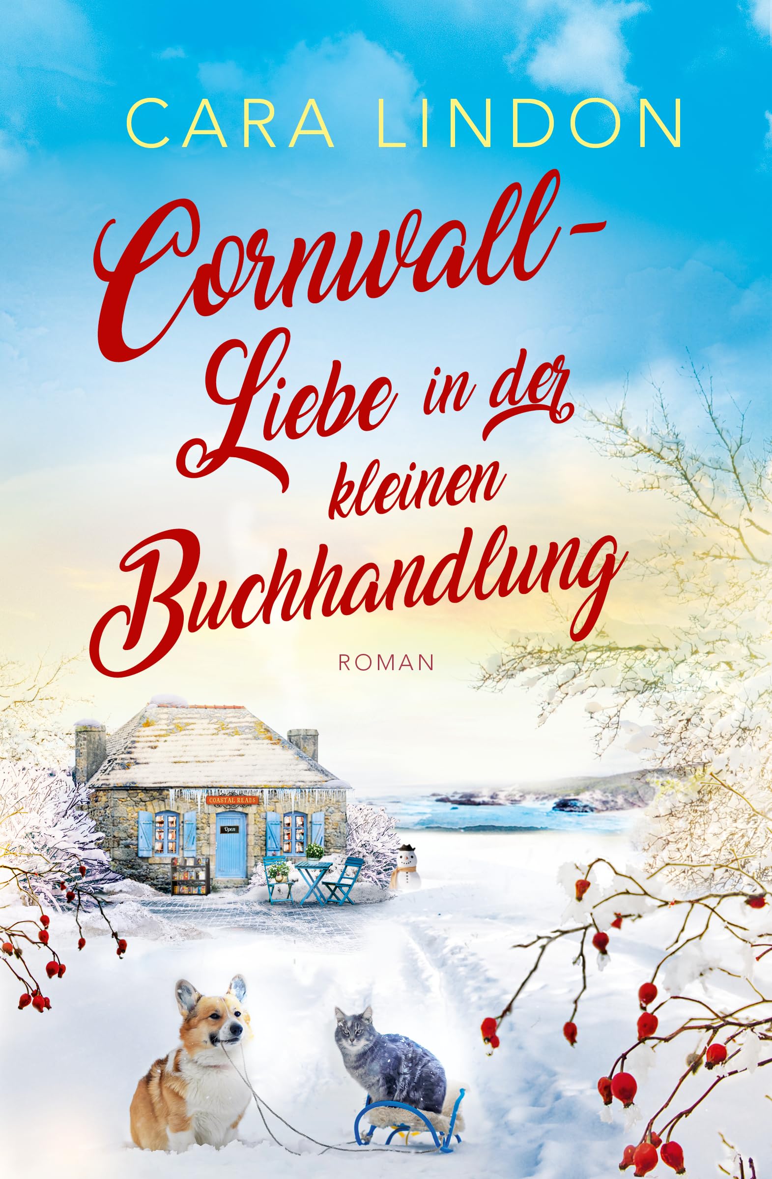 Cornwall-Liebe in der kleinen Buchhandlung Contemporary literature