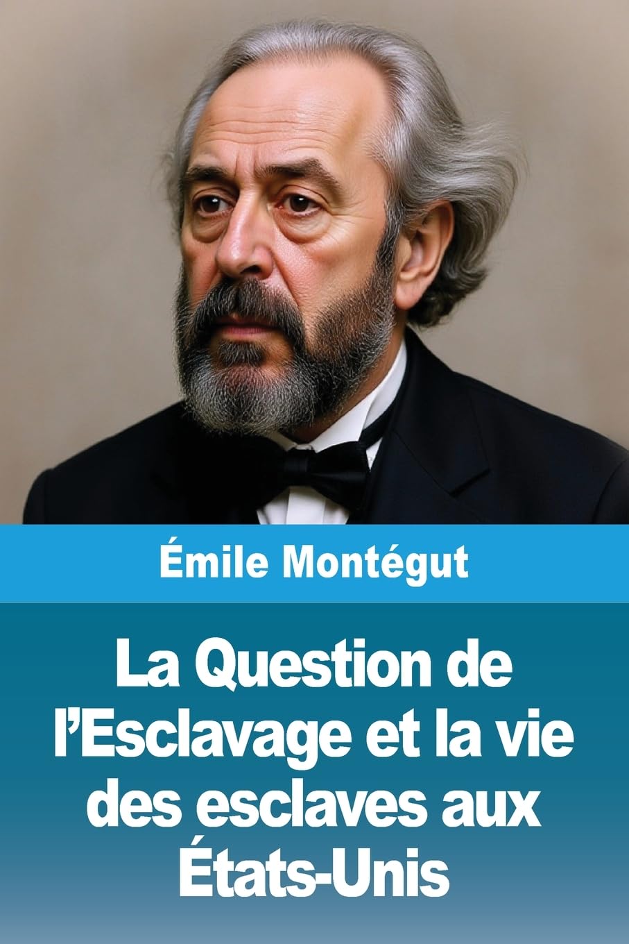 La Question de l'Esclavage et la vie des esclaves aux États-Unis Politics & History
