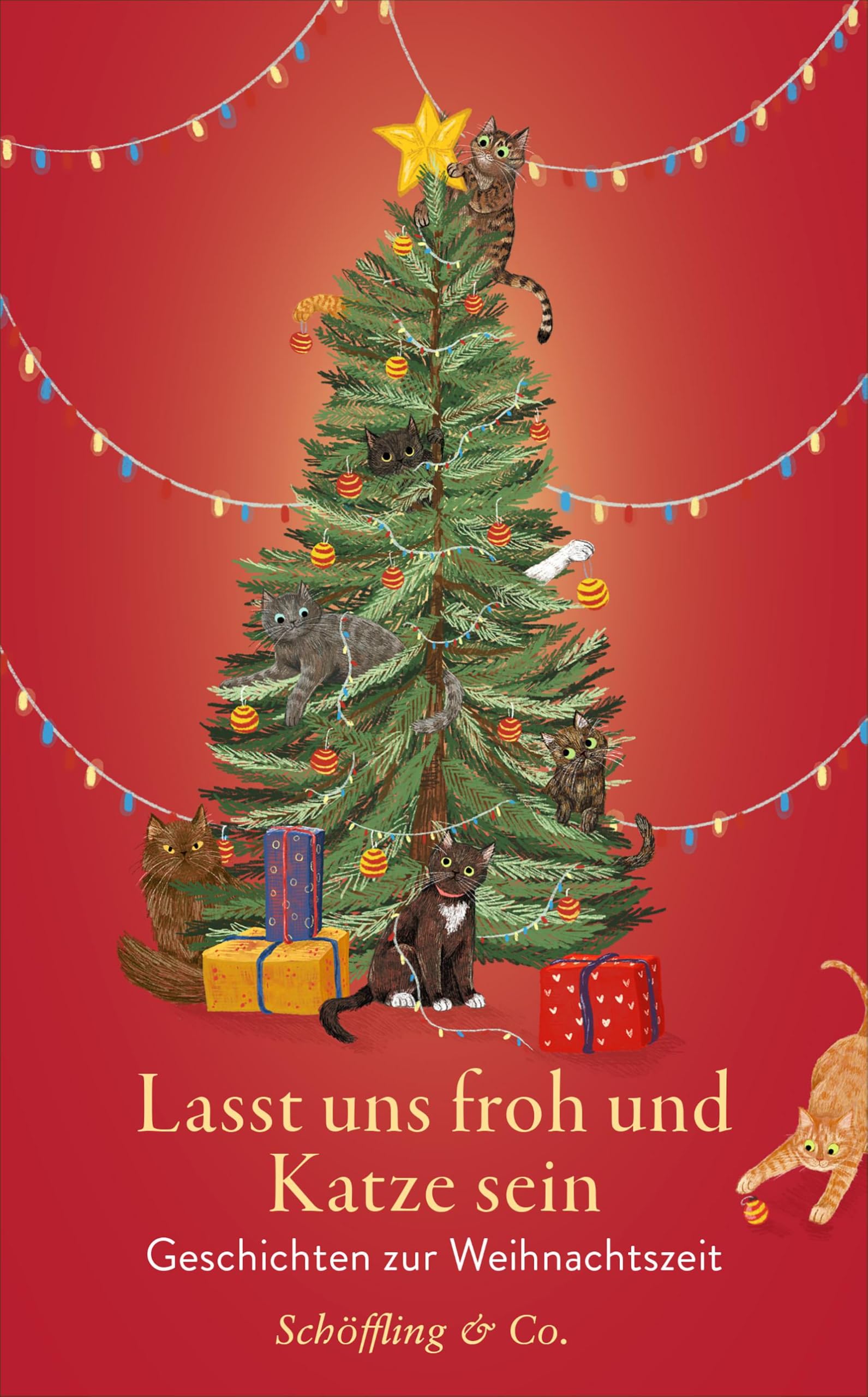 Lasst uns froh und Katze sein Lifestyle
