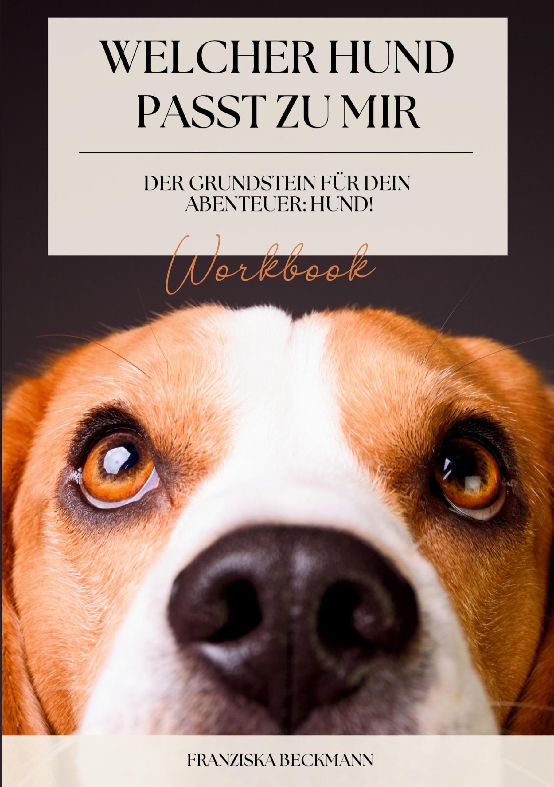 Welcher Hund passt zu mir? Pets