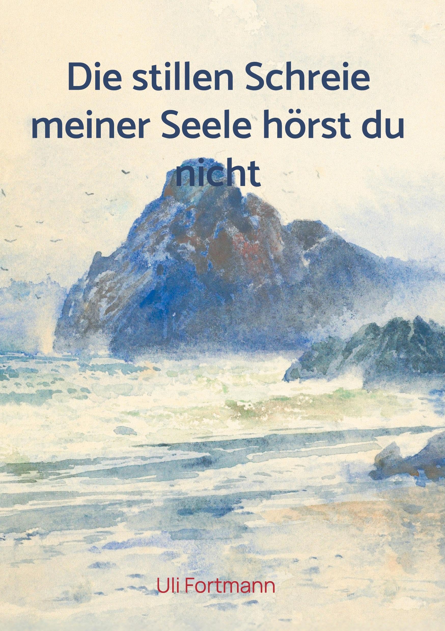 Die stillen Schreie meiner Seele hörst du nicht Contemporary literature