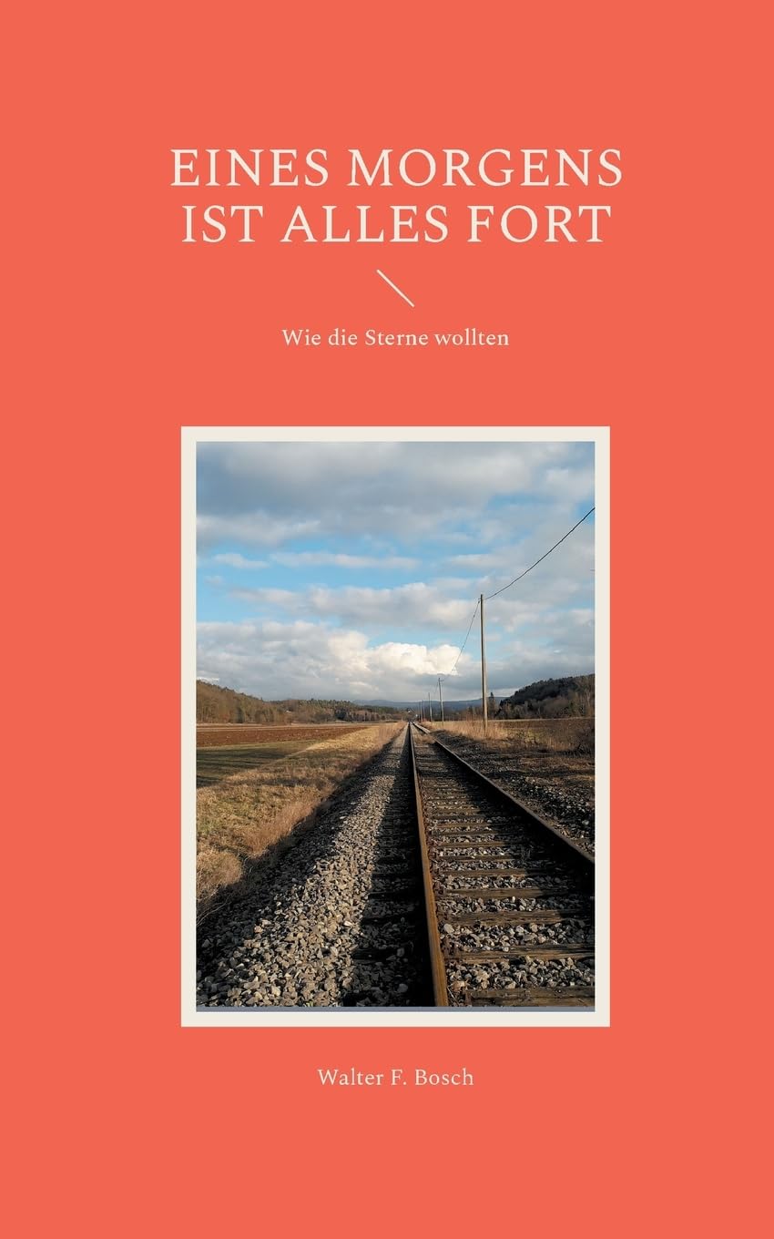 Eines Morgens ist alles fort Contemporary literature