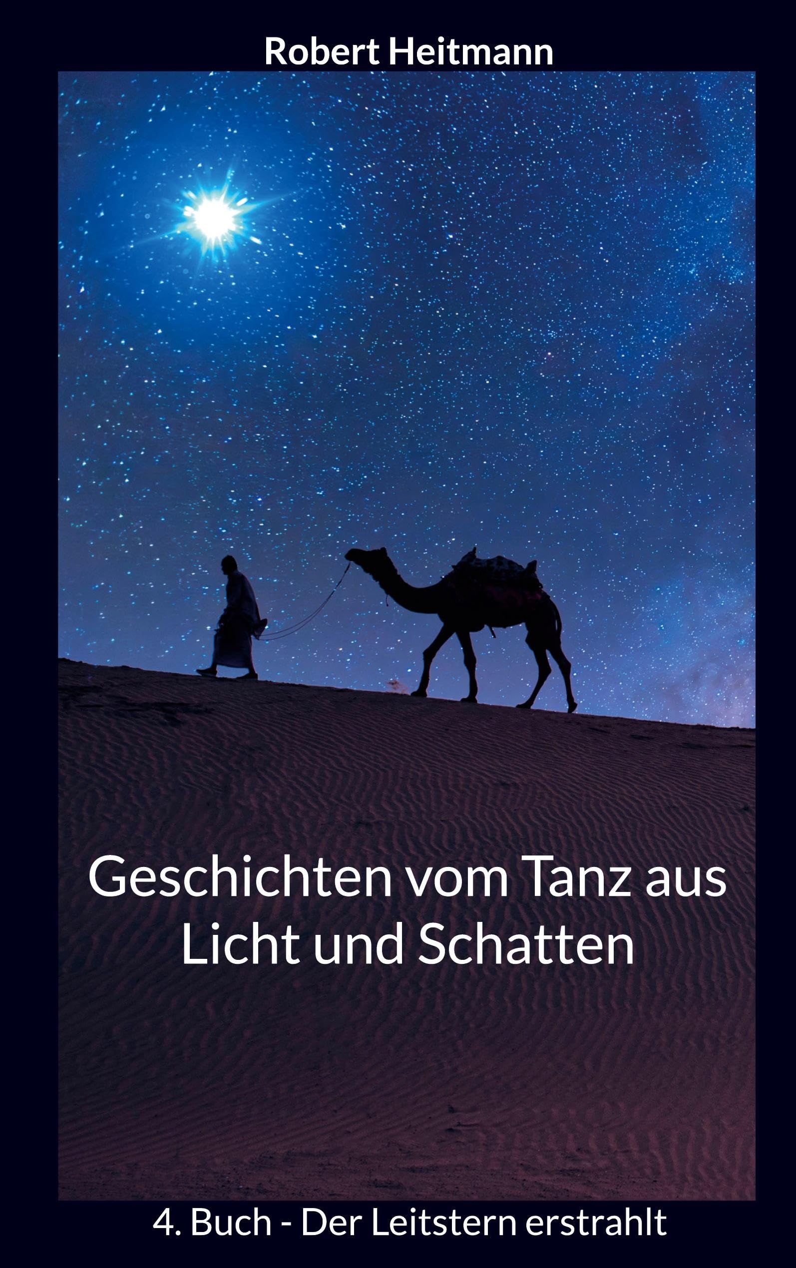Geschichten vom Tanz aus Licht und Schatten Historical Fiction