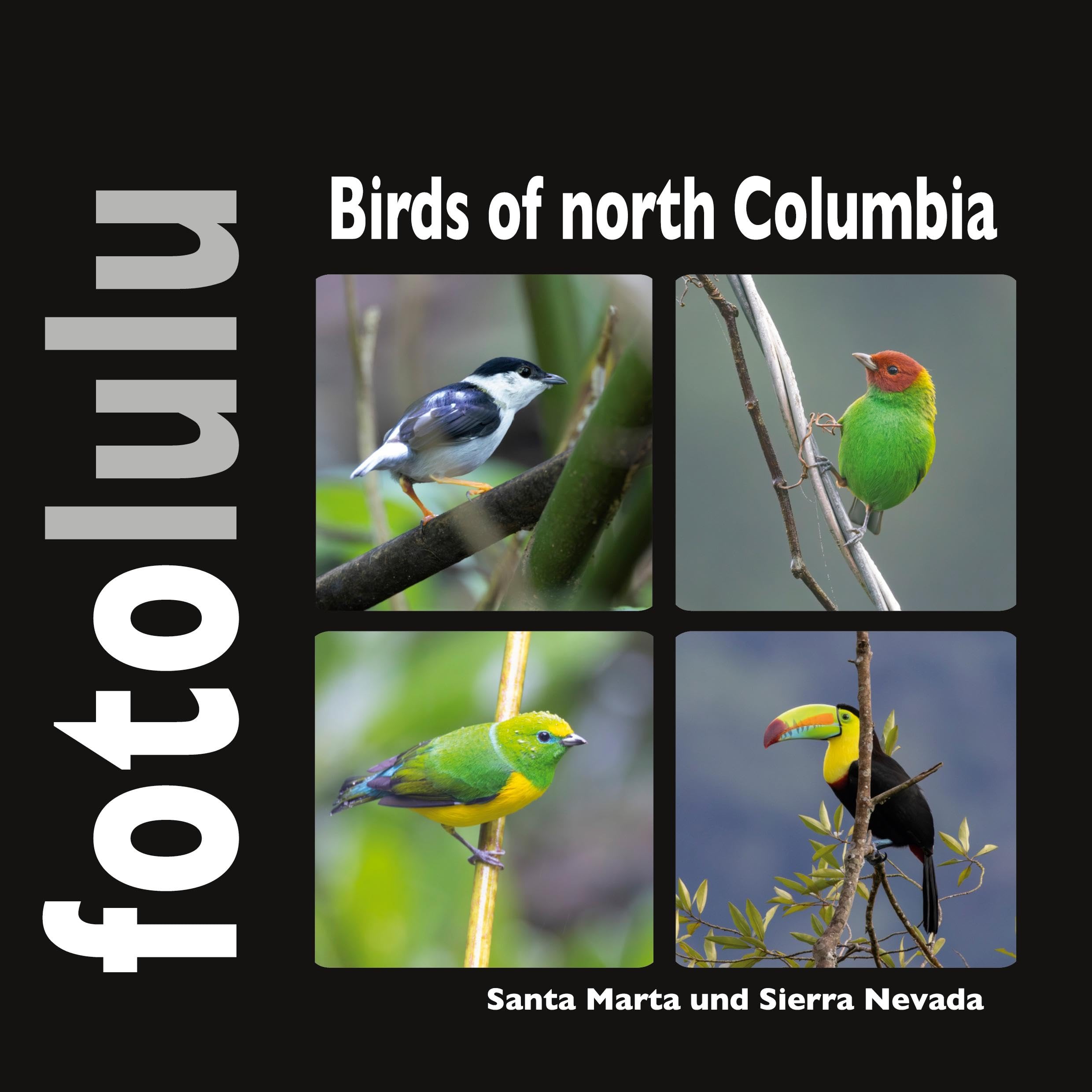 Birds of north Columbia Architecture