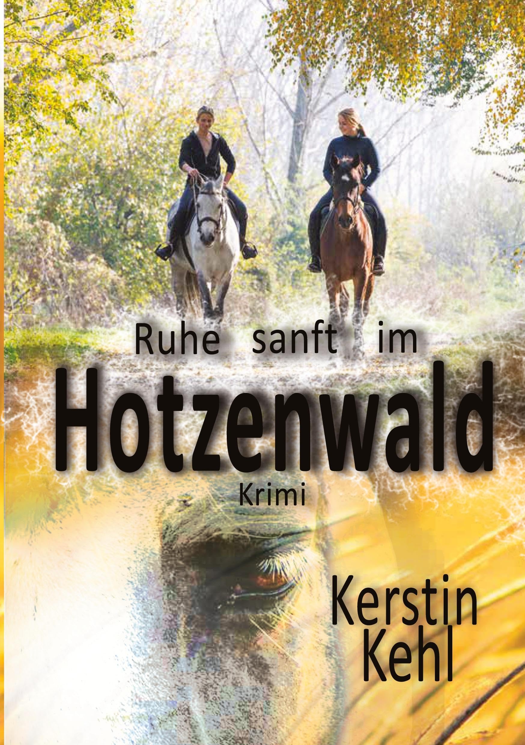 Ruhe sanft im Hotzenwald Contemporary literature