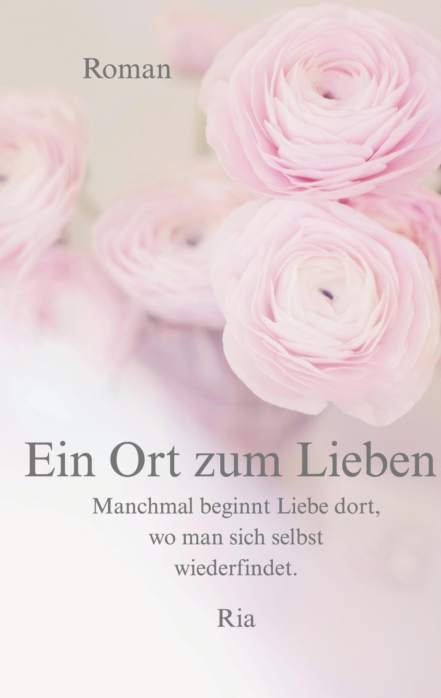 Ein Ort zum Lieben Contemporary literature