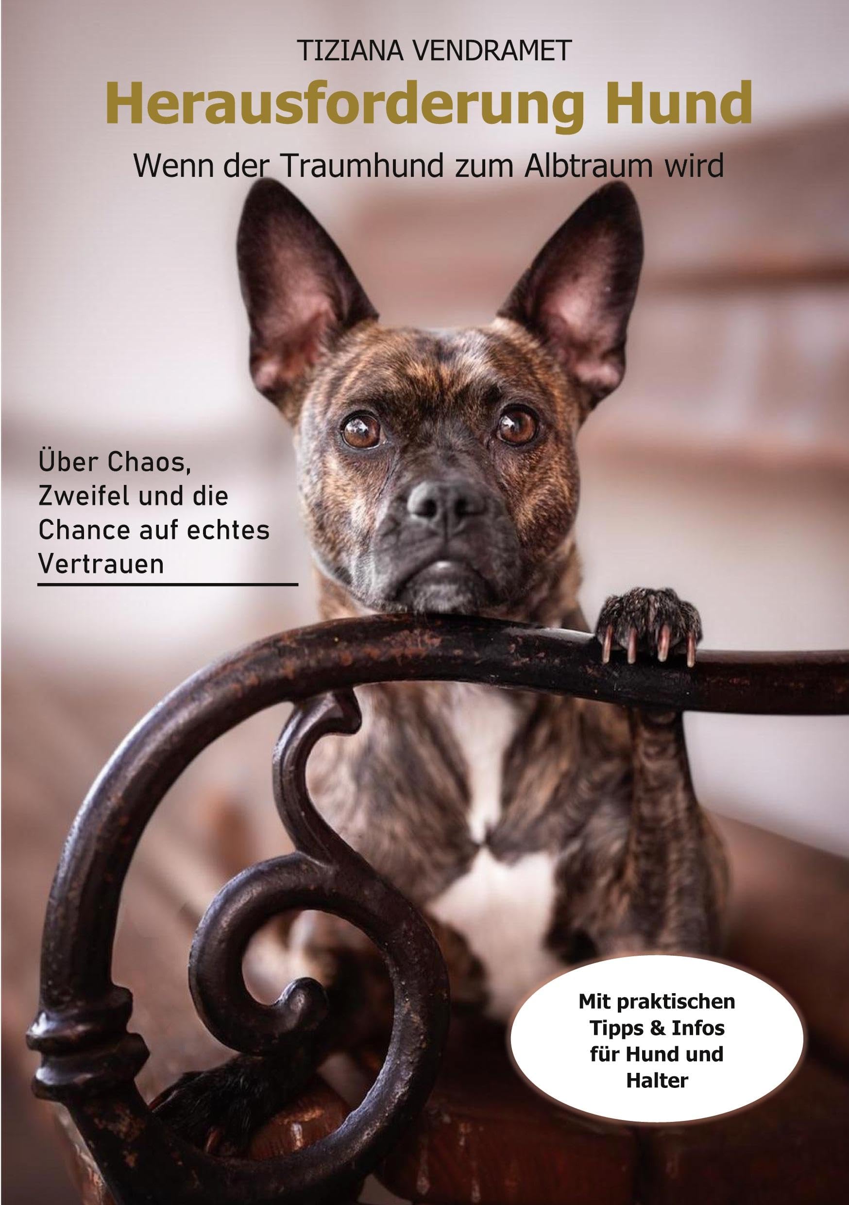 Herausforderung Hund Film, Art & Culture