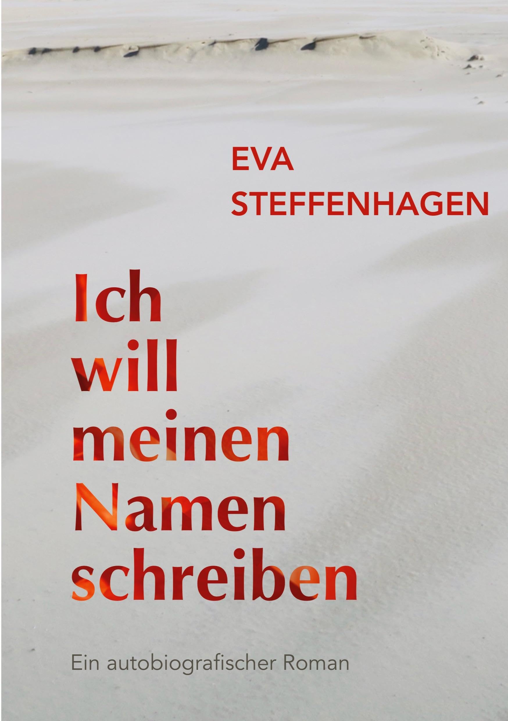 Ich will meinen Namen schreiben Contemporary literature