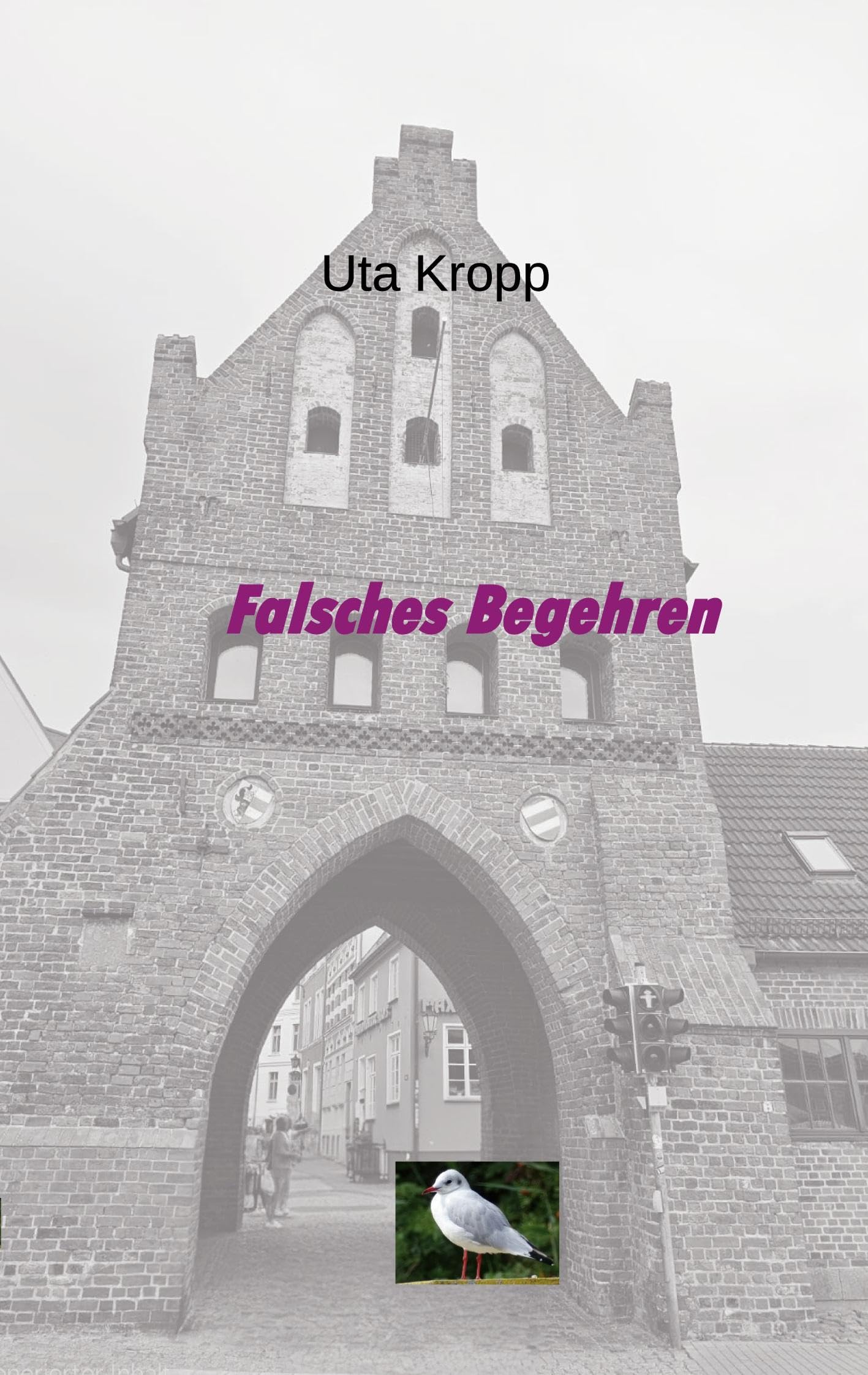 Falsches Begehren Contemporary literature