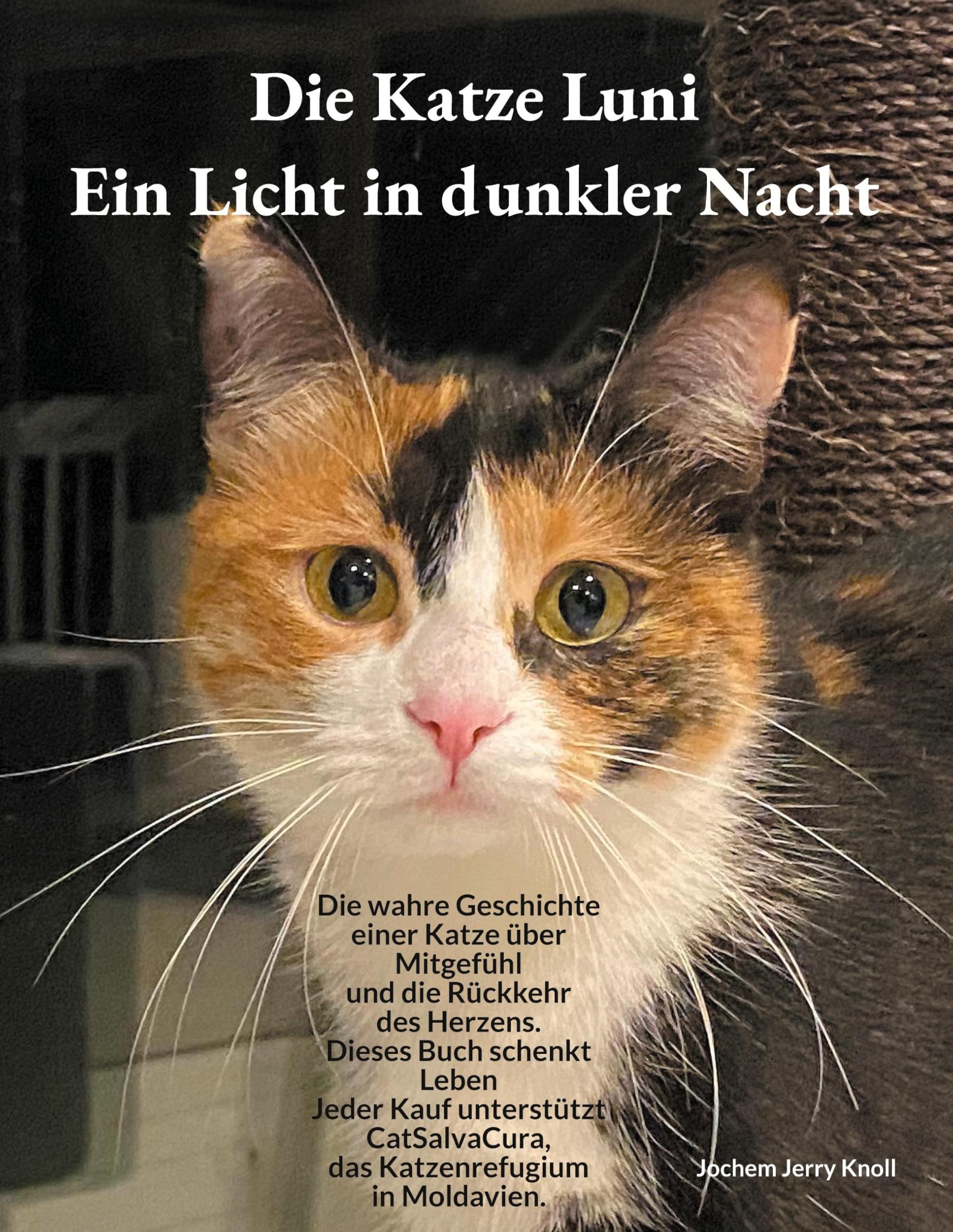 Die Katze Luni - Ein Licht in dunkler Nacht Pets